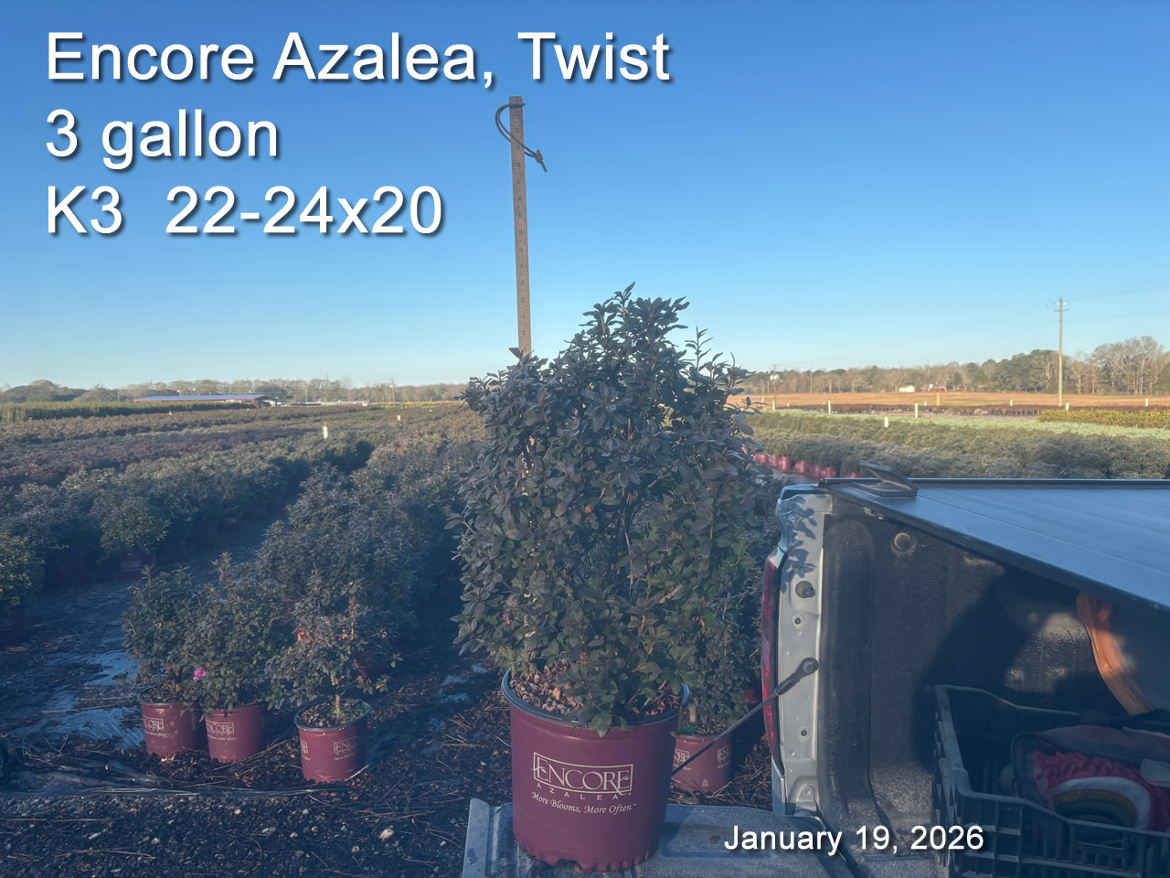 gallery/etwt3 k3 jan19.jpg